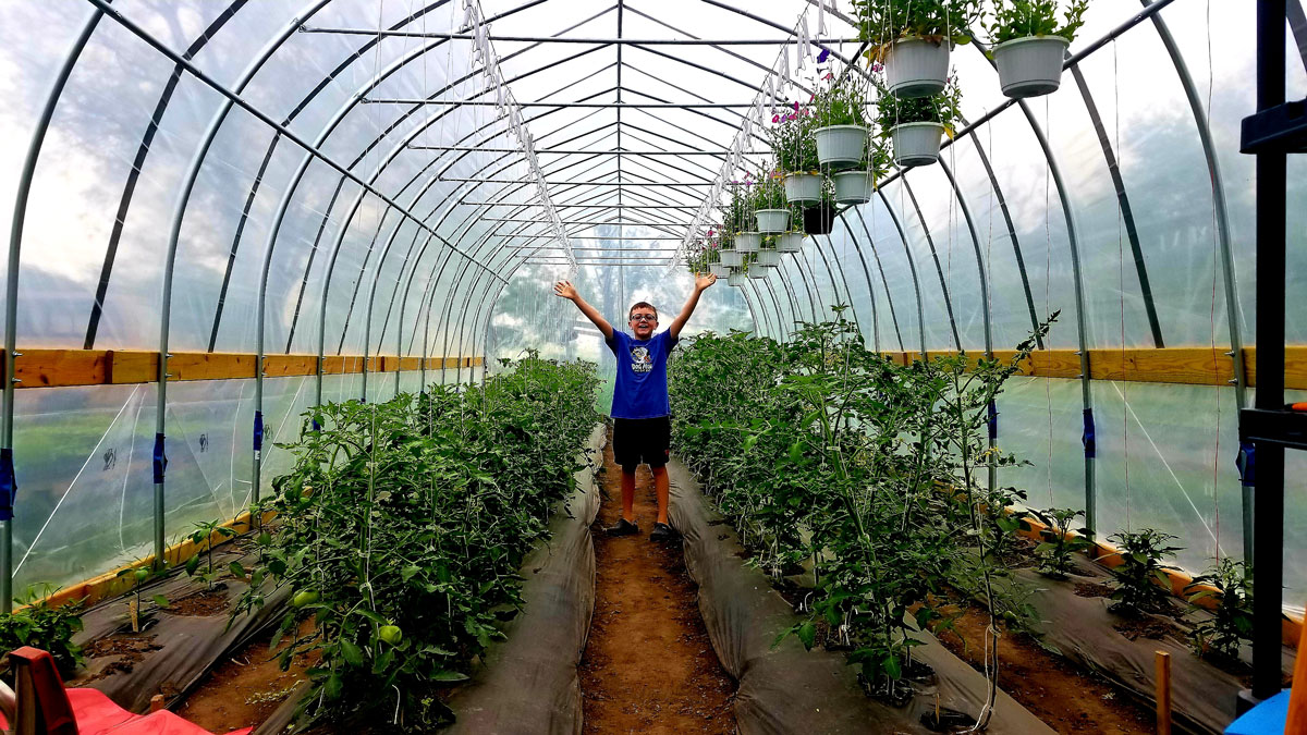 Child in the middle of plants in greenhouse at Beavers Produce